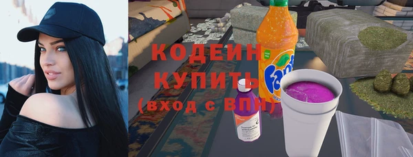 бошки Бородино