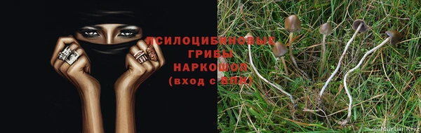 бошки Бородино